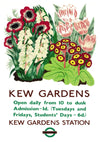 Kew Gardens Station print
