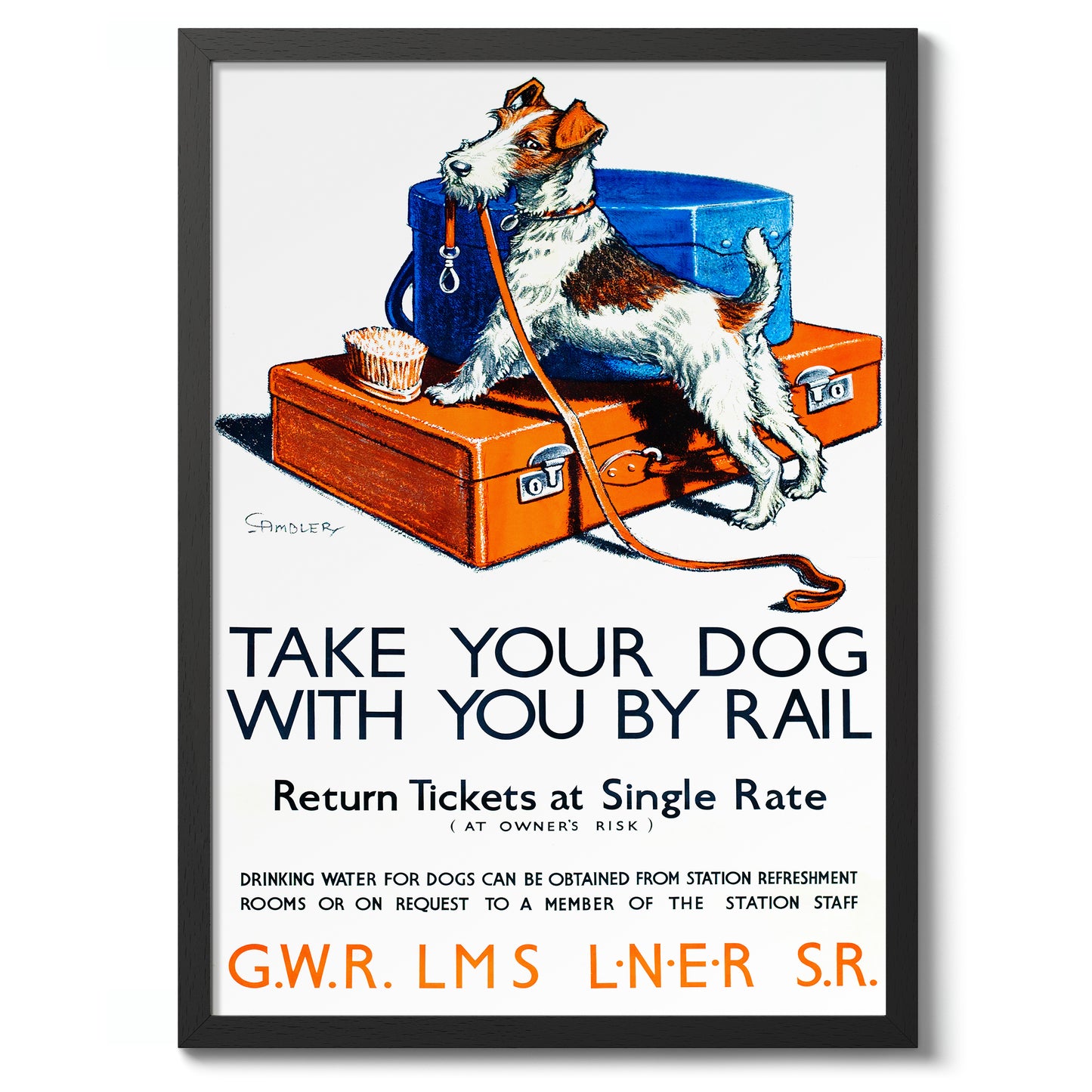 Take Your Dog With You