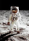 Neil Armstrong Moonwalk print