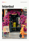 Istanbul, Turkey print