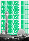 Primrose Hill, London print