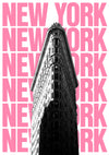 Flat Iron-byggnaden, New York print