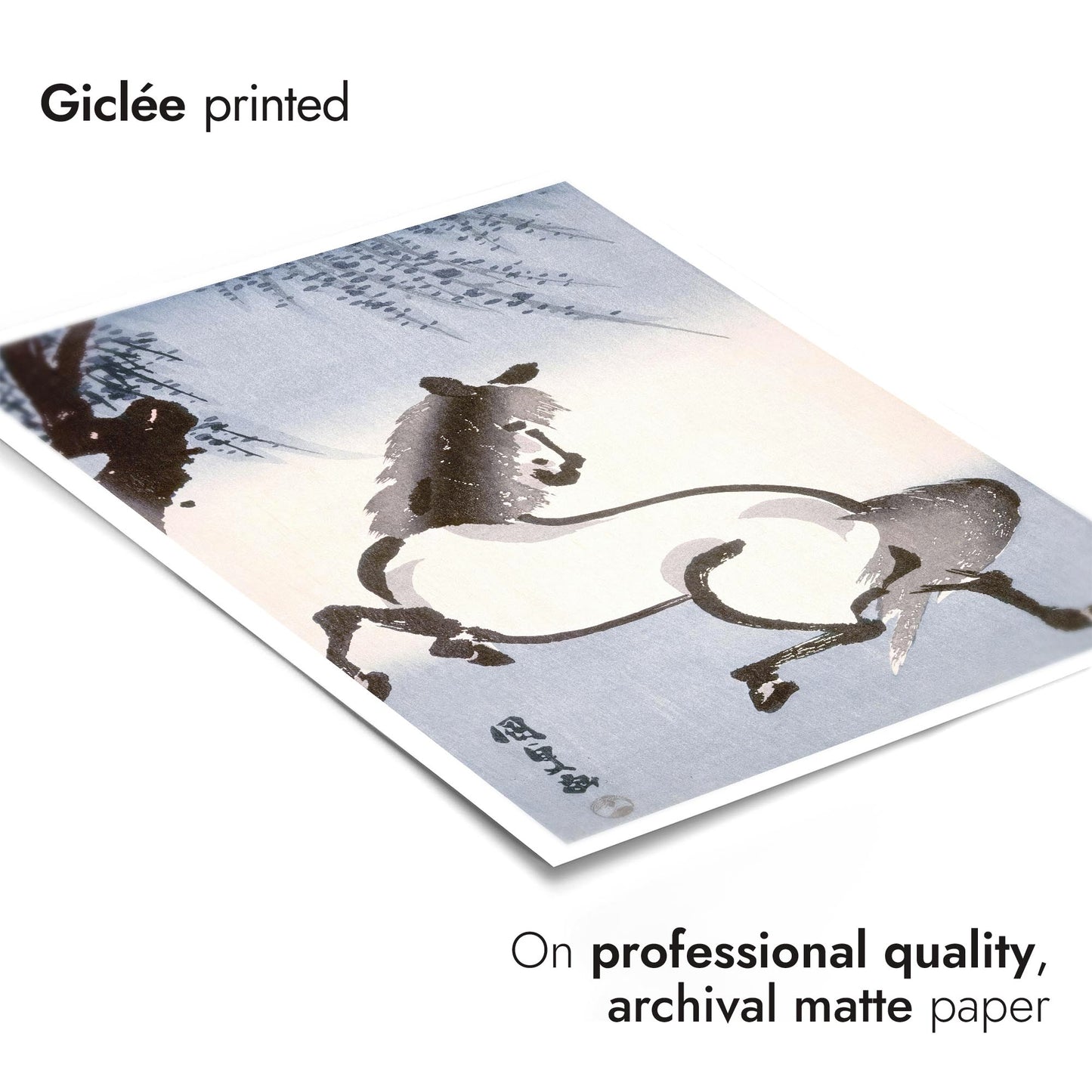 Horse Under Wisteria