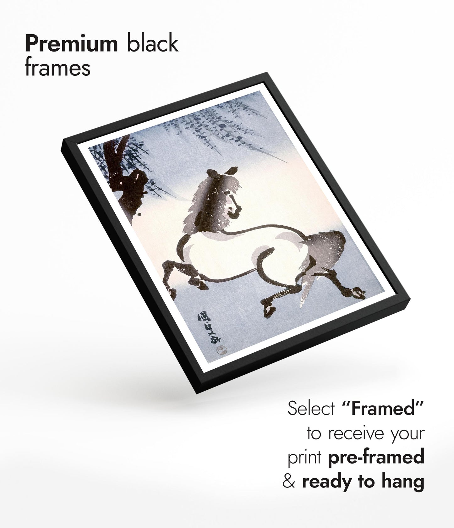 Horse Under Wisteria