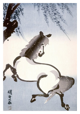 Horse Under Wisteria print