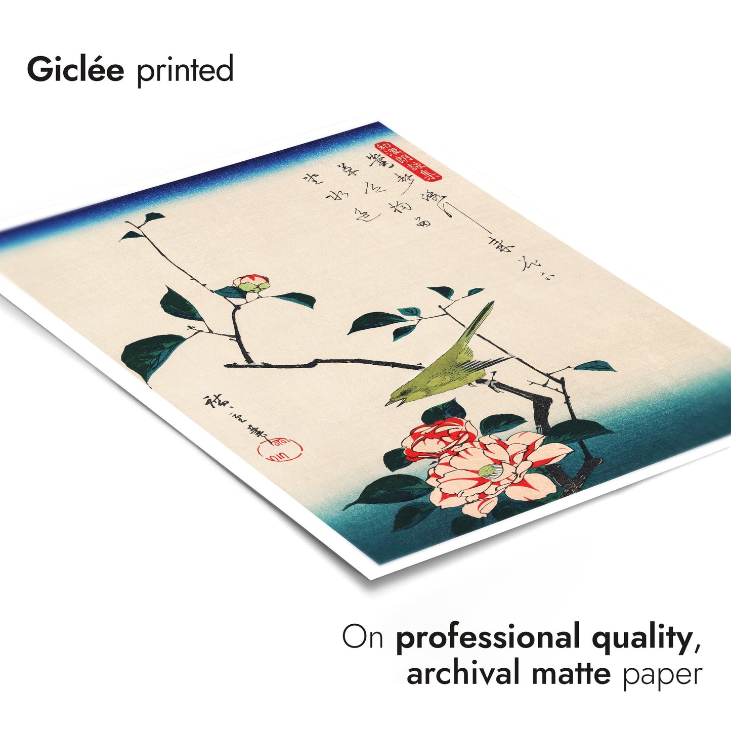 Camellia & Nightingale