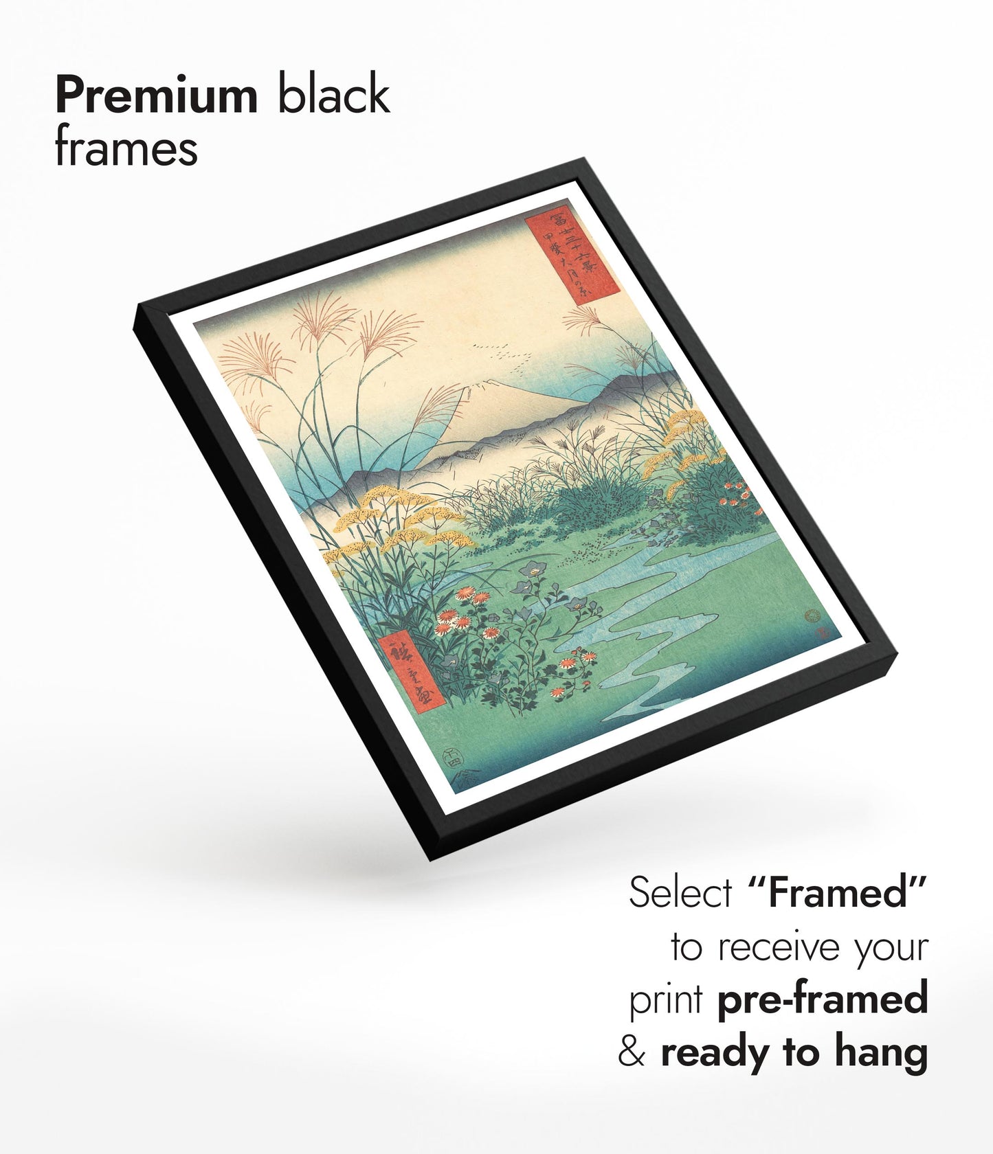 Otsuki Plain in Kai Province