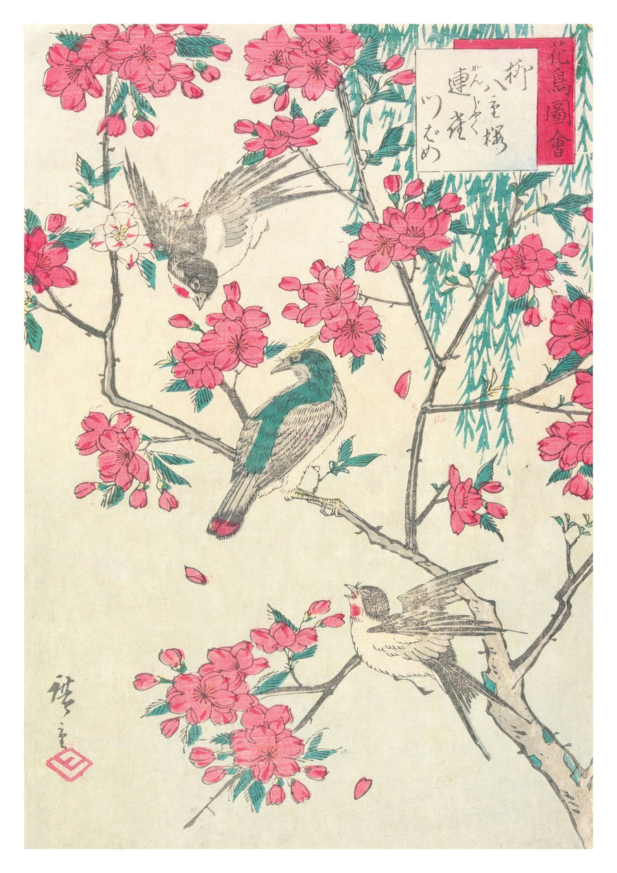 Saule, Fleurs de cerisier, Moineaux et Hirondelle - Print Only frame