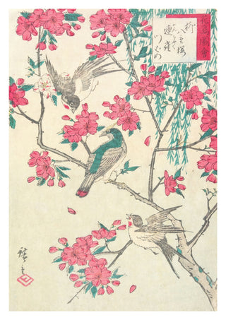 Wilg, kersenbloesems, mussen en zwaluw print