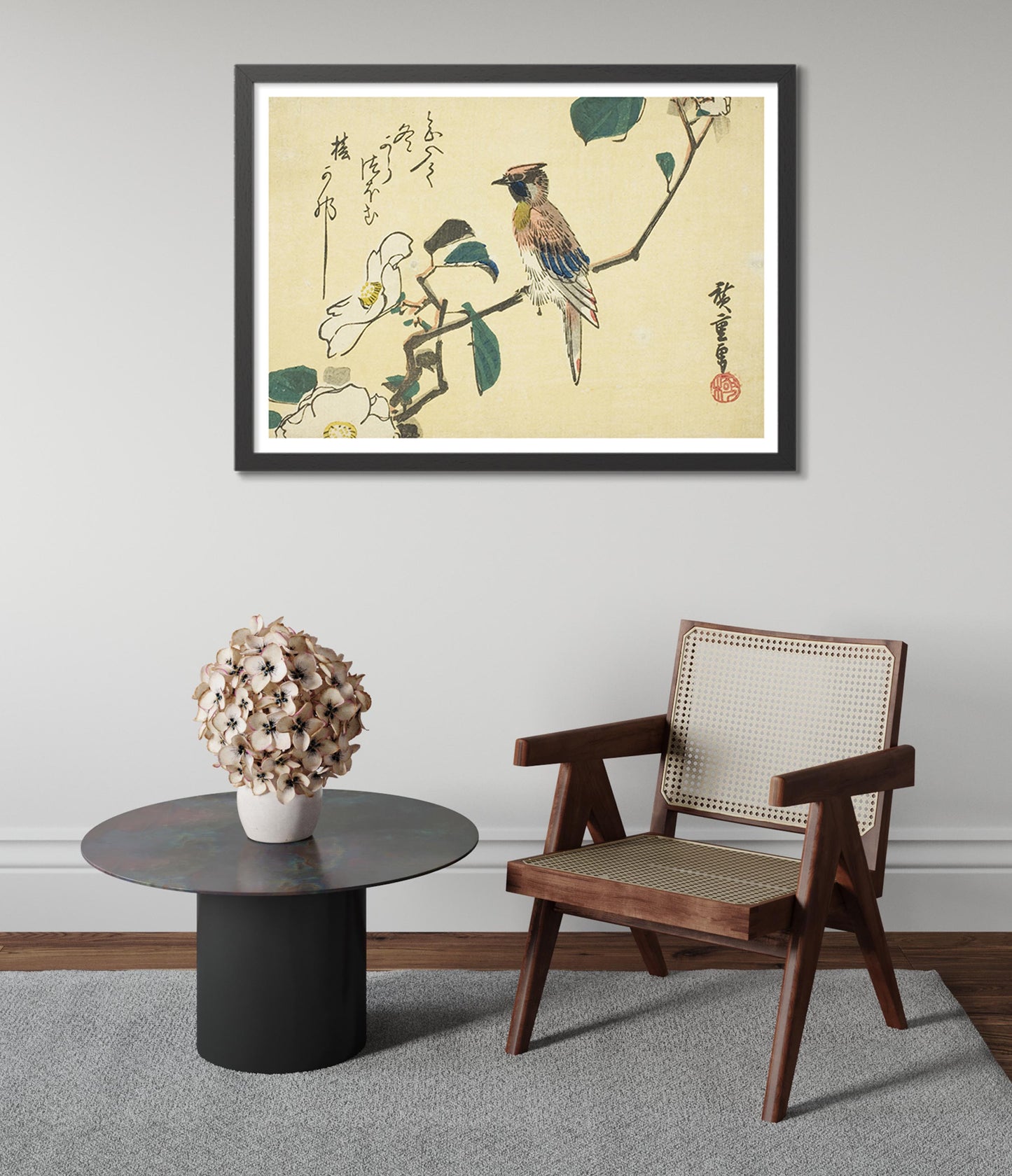 Schwarzscheitel-Schmuckkuckuck am Camellia Beach