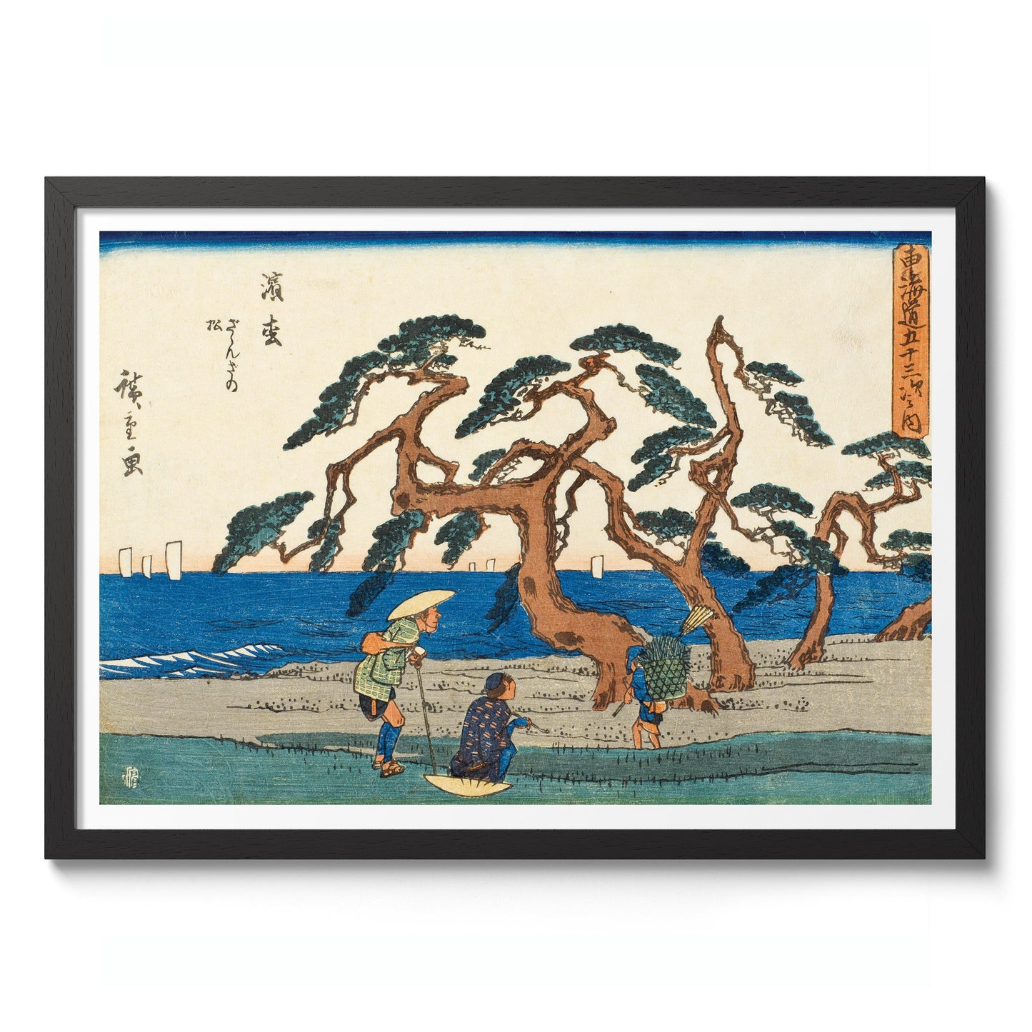 Le champ de pins à Hamamatsu