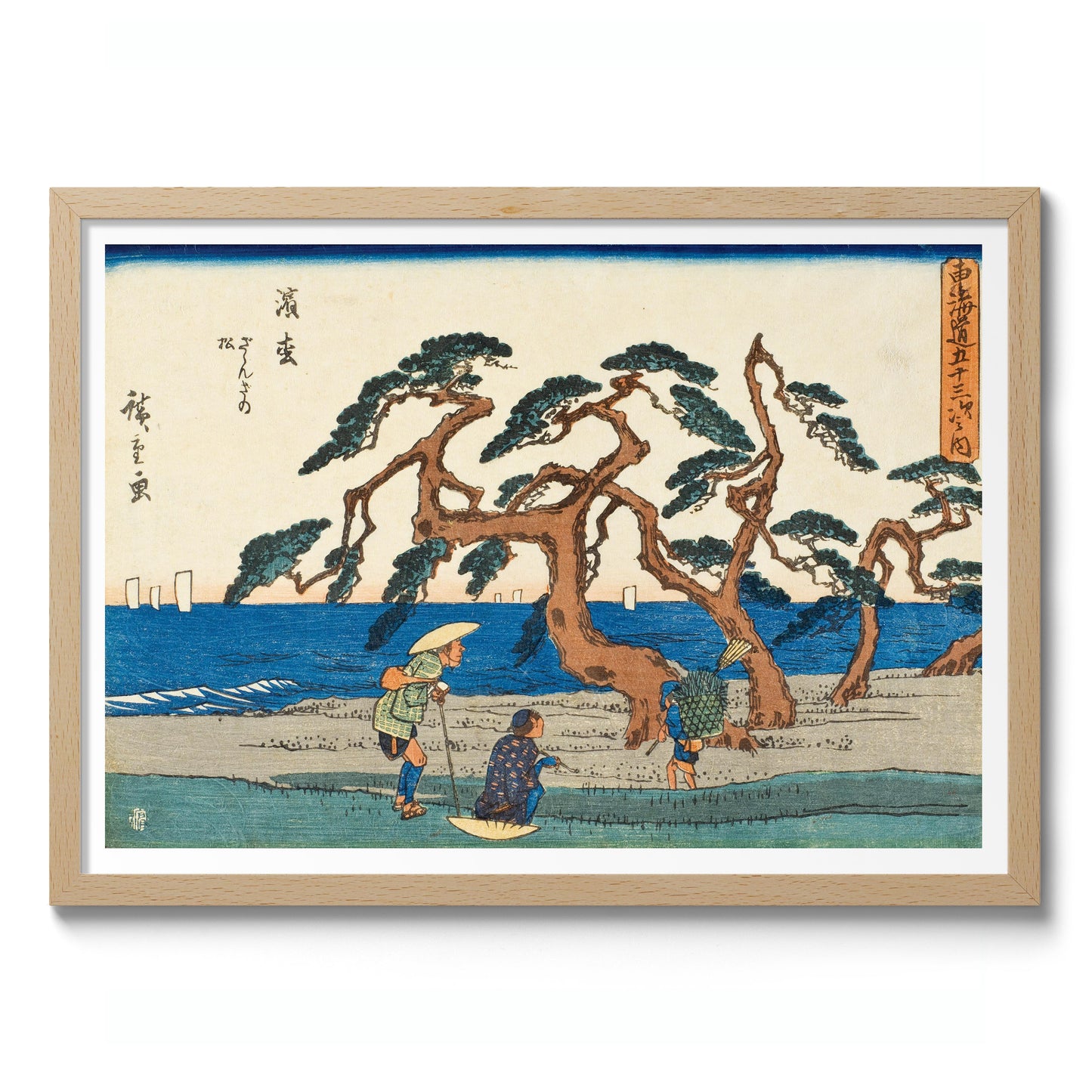 Le champ de pins à Hamamatsu