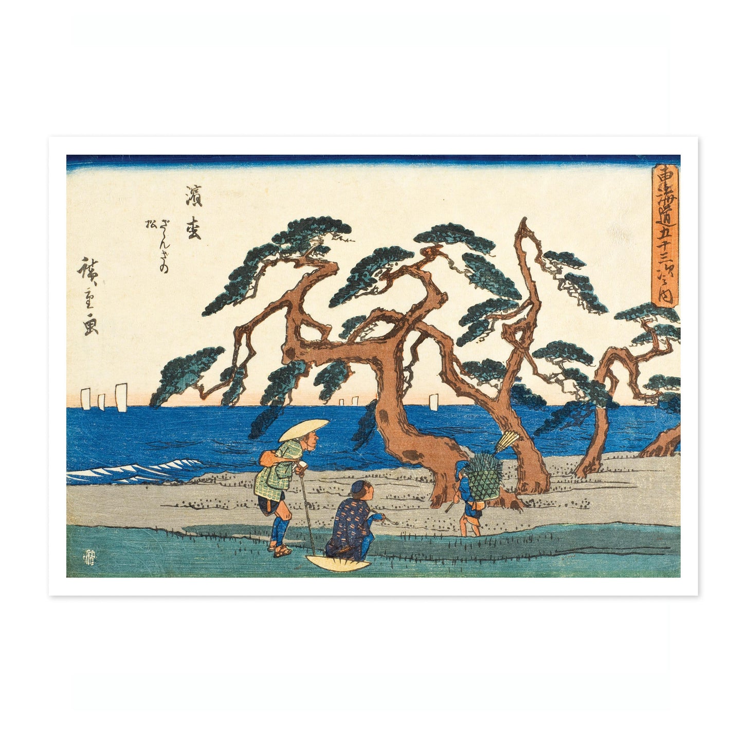 Le champ de pins à Hamamatsu