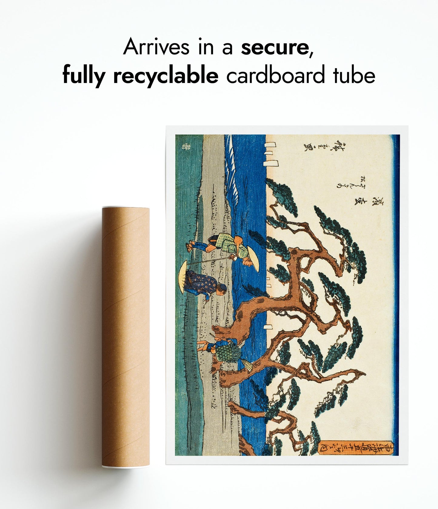 Le champ de pins à Hamamatsu