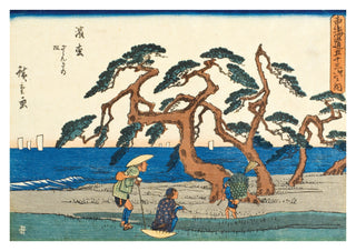 Le champ de pins à Hamamatsu print