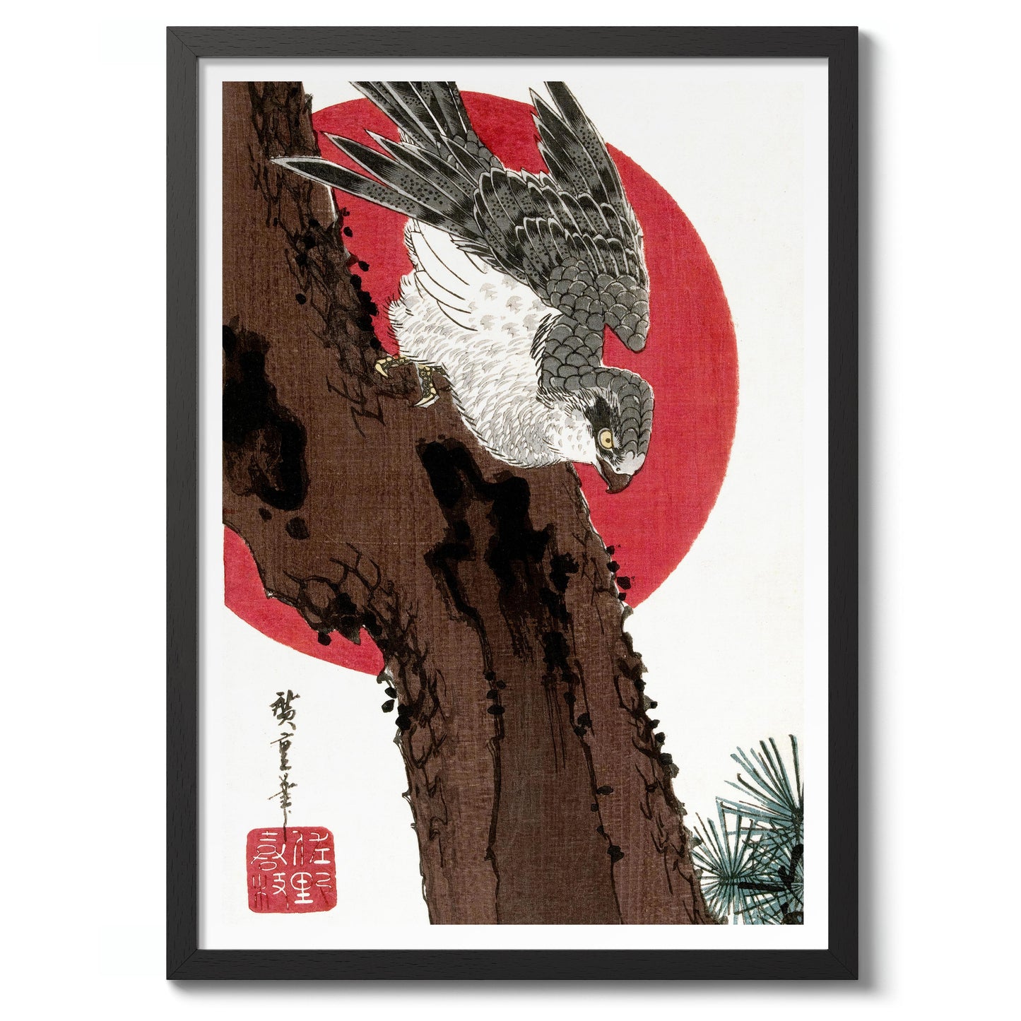 Habicht & Rote Sonne