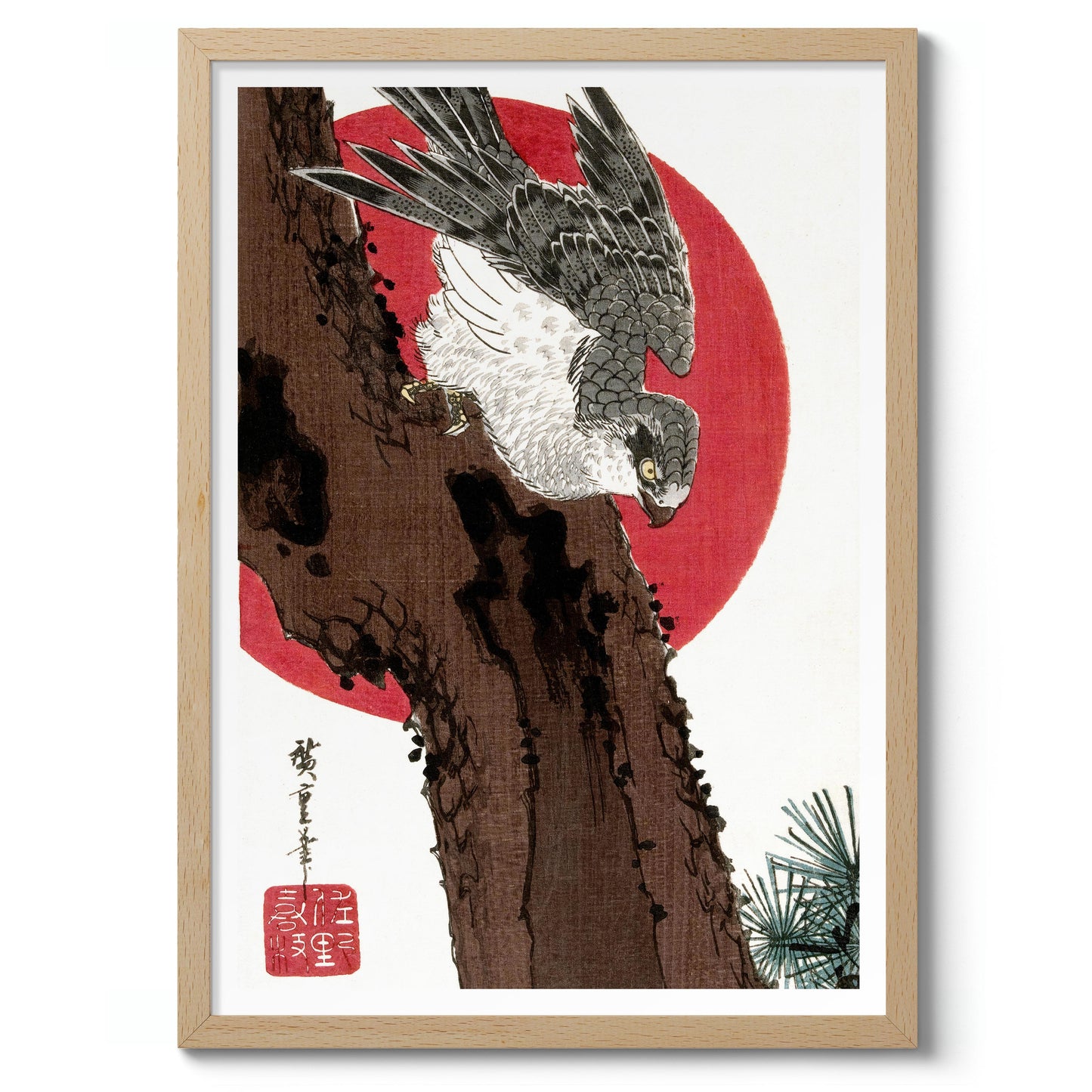 Habicht & Rote Sonne