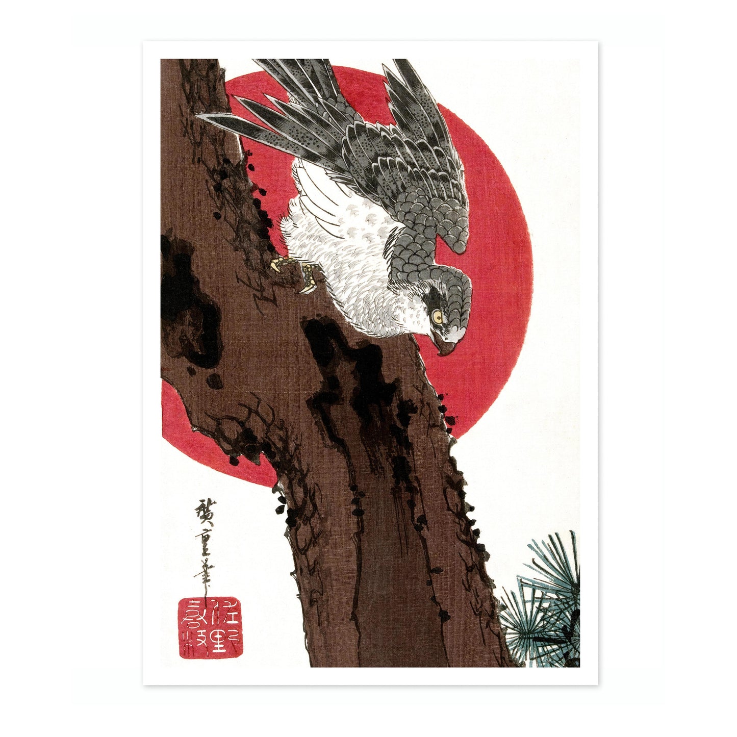 Habicht & Rote Sonne