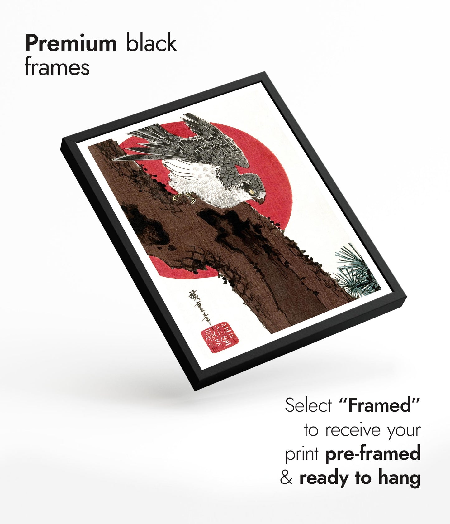 Habicht & Rote Sonne