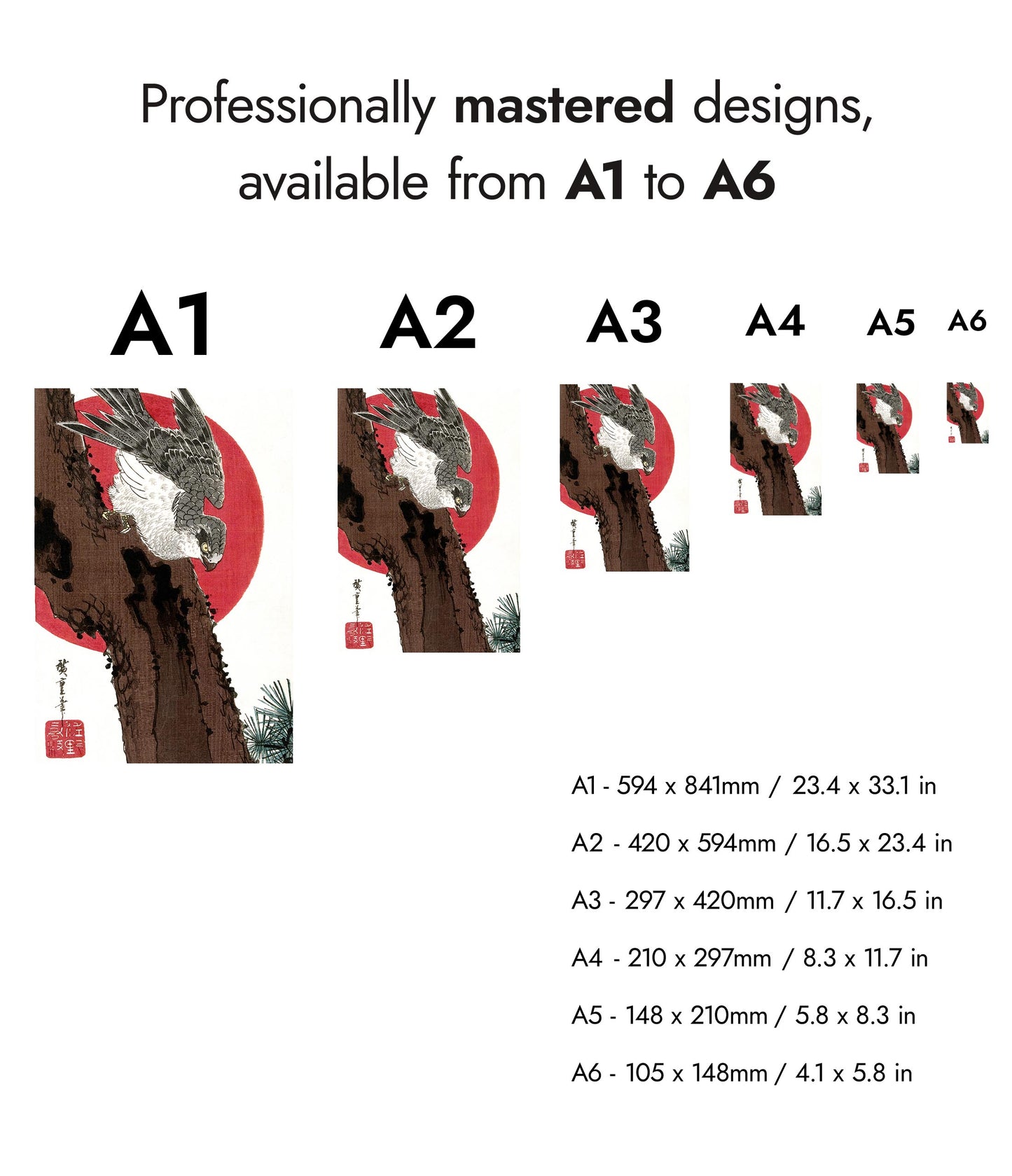 Habicht & Rote Sonne