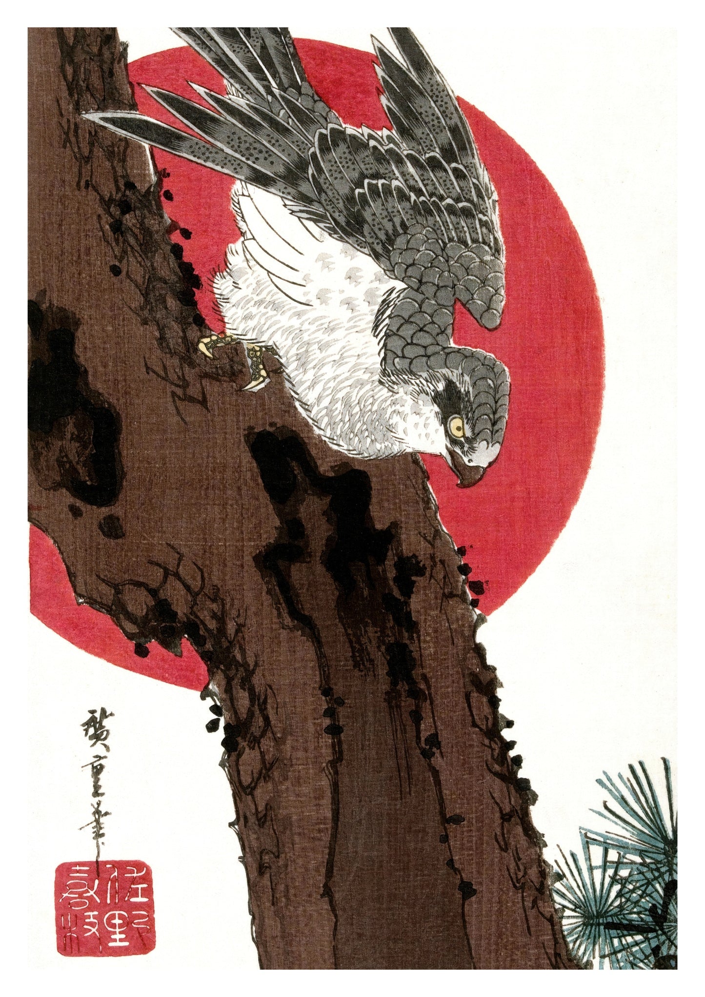 Habicht & Rote Sonne