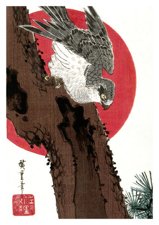 Habicht & Rote Sonne print