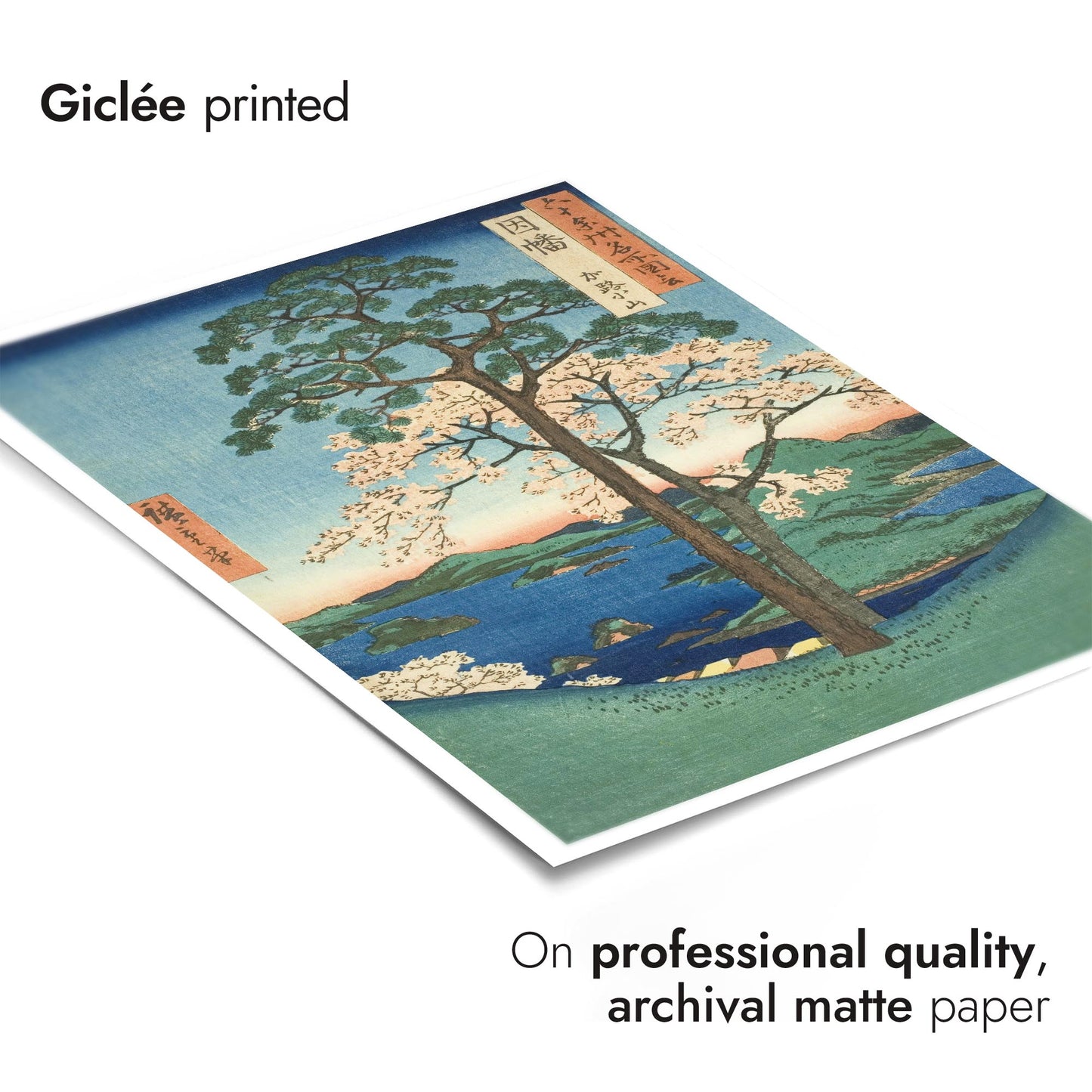 Inaba Province Karo, Koyama