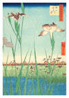Iris bij Horikiri print