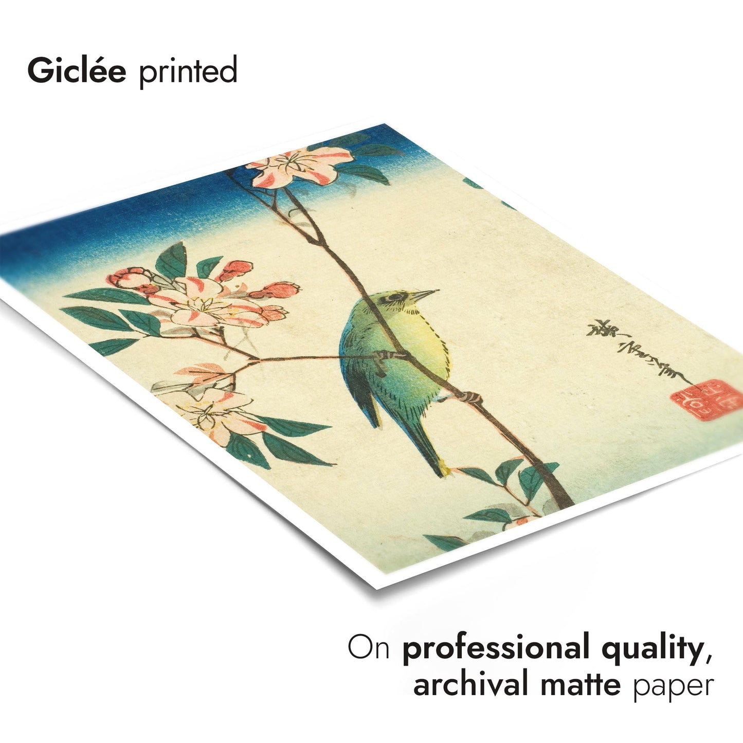 Japansk vitögla på blommande gren