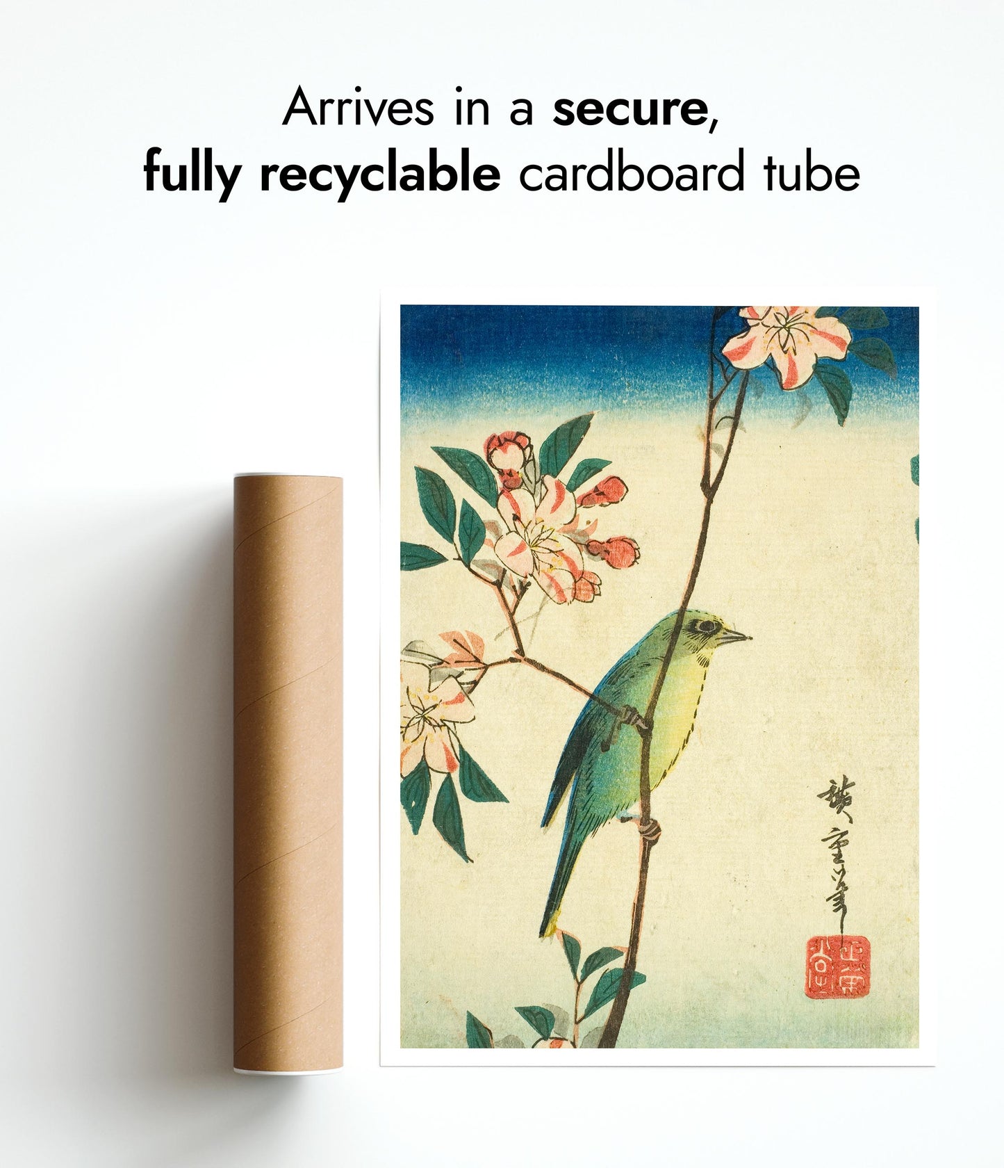 Japansk vitögla på blommande gren