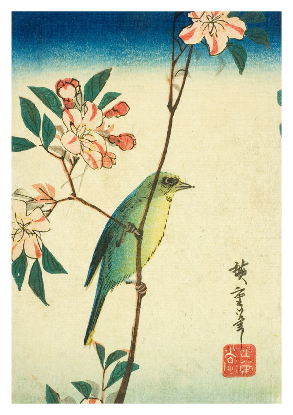 Japanese White-Eye on Flowering Branch