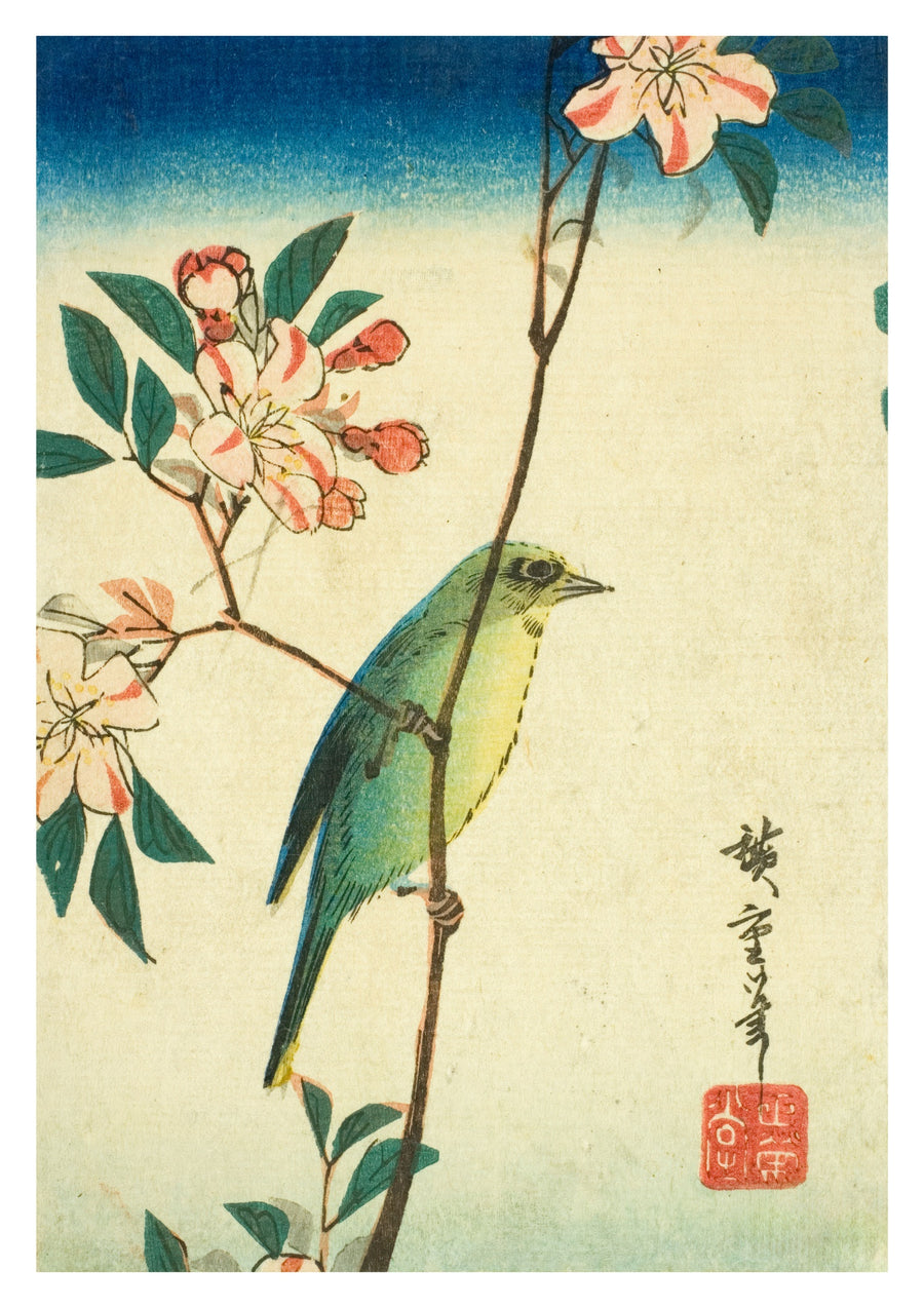 Japanse witteoog op bloeiende tak - Print Only frame