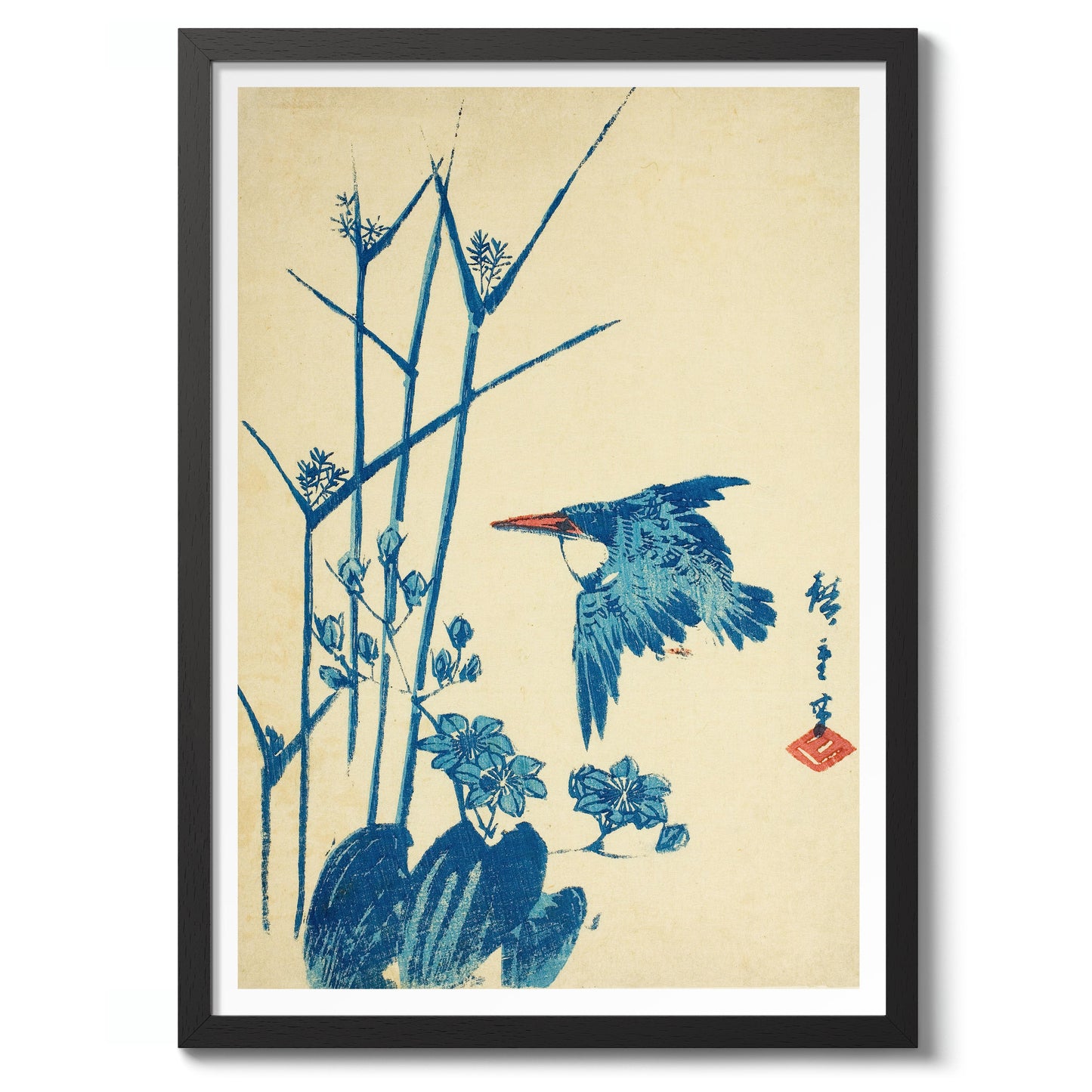 Kingfisher & Monochoria