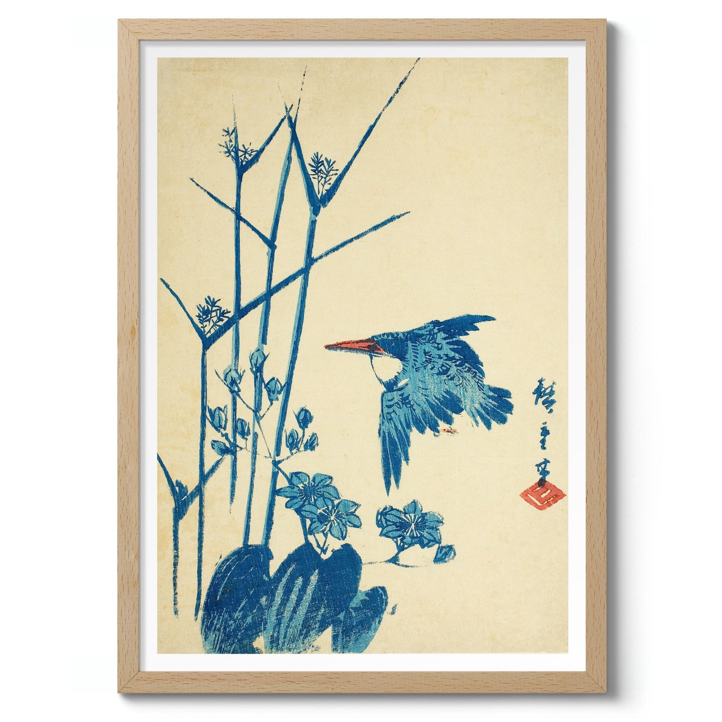 Kingfisher & Monochoria