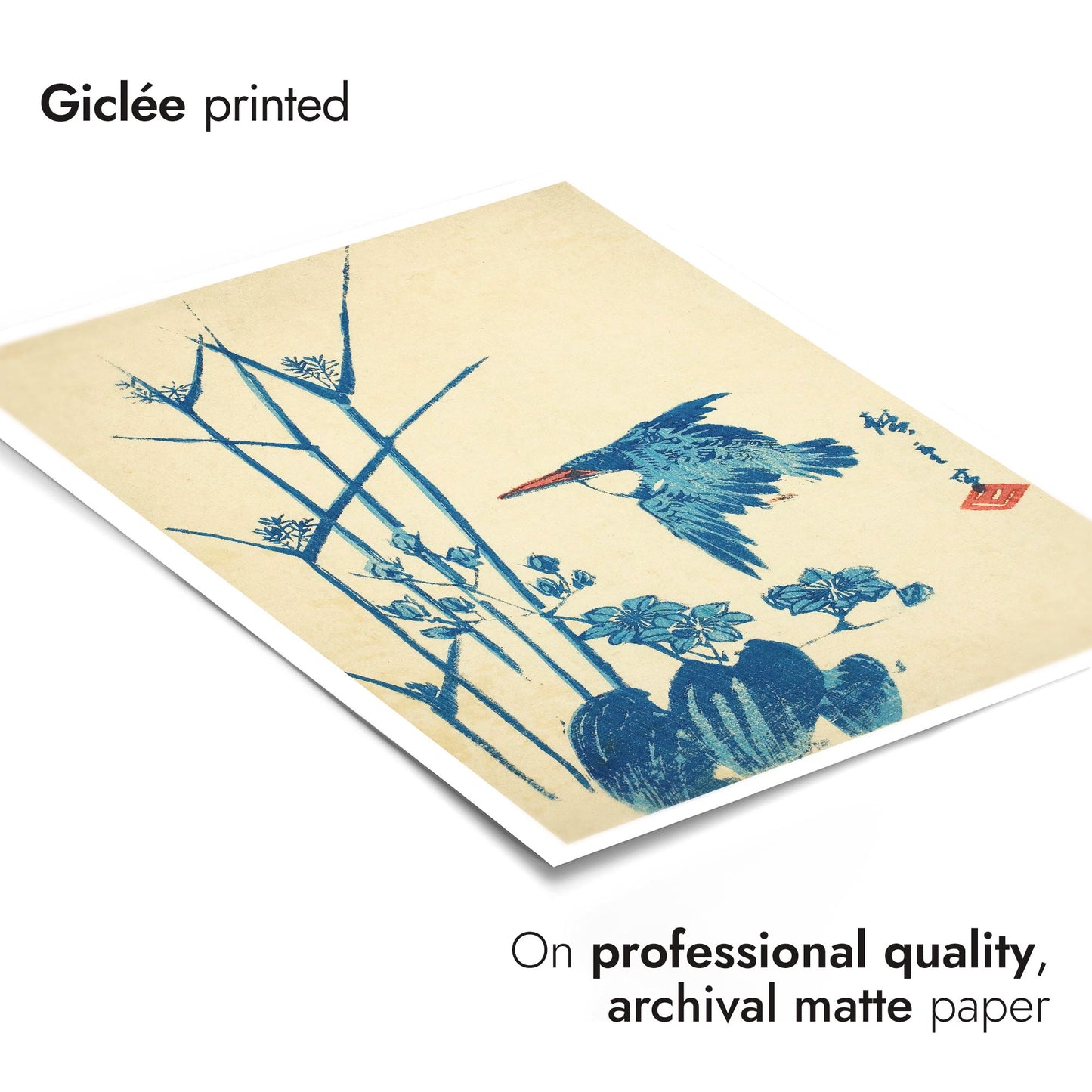 Kingfisher & Monochoria