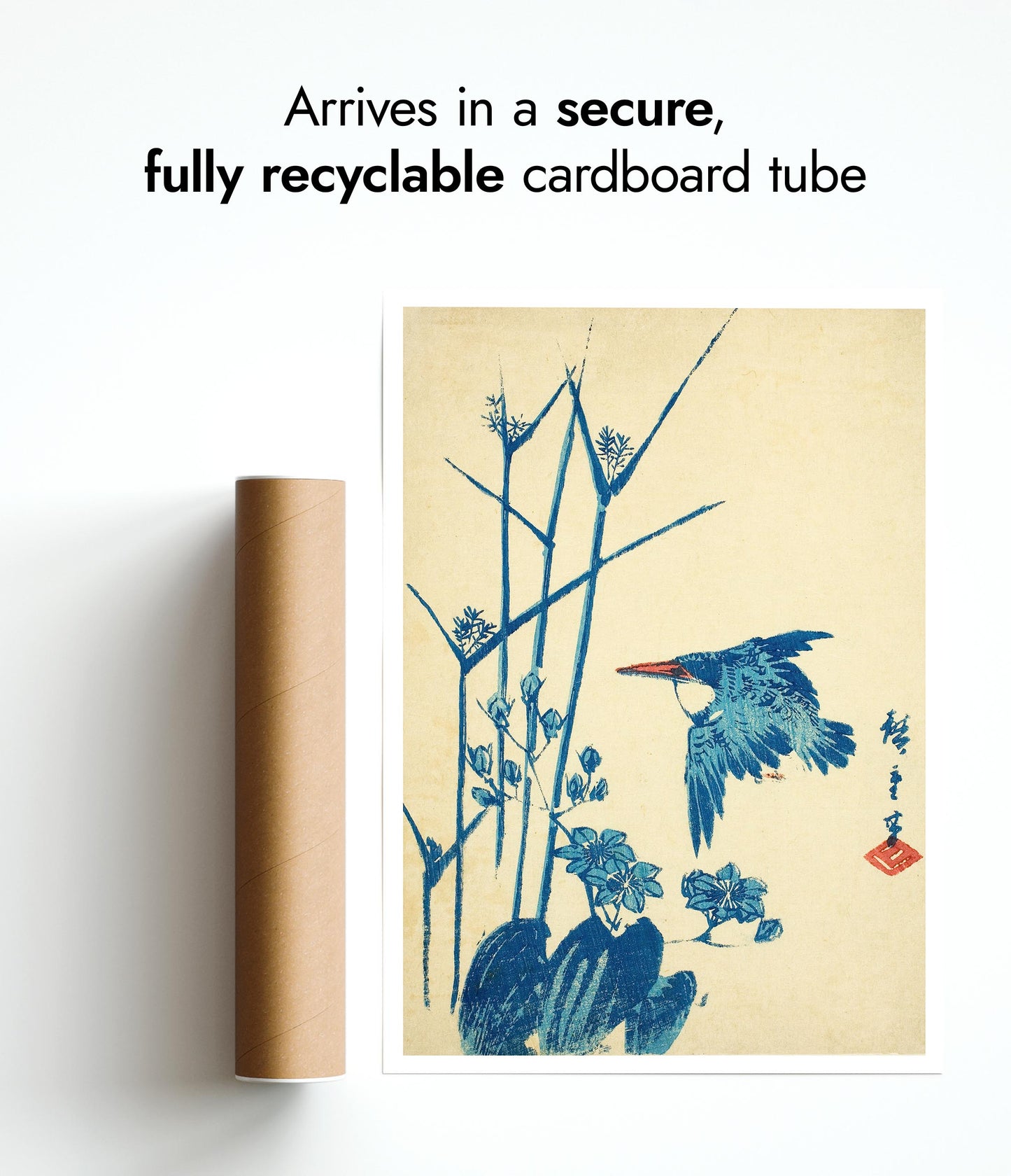 Kingfisher & Monochoria