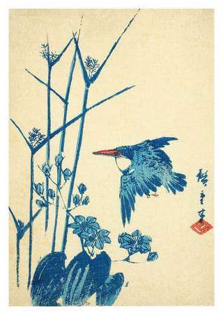 Kingfisher & Monochoria print