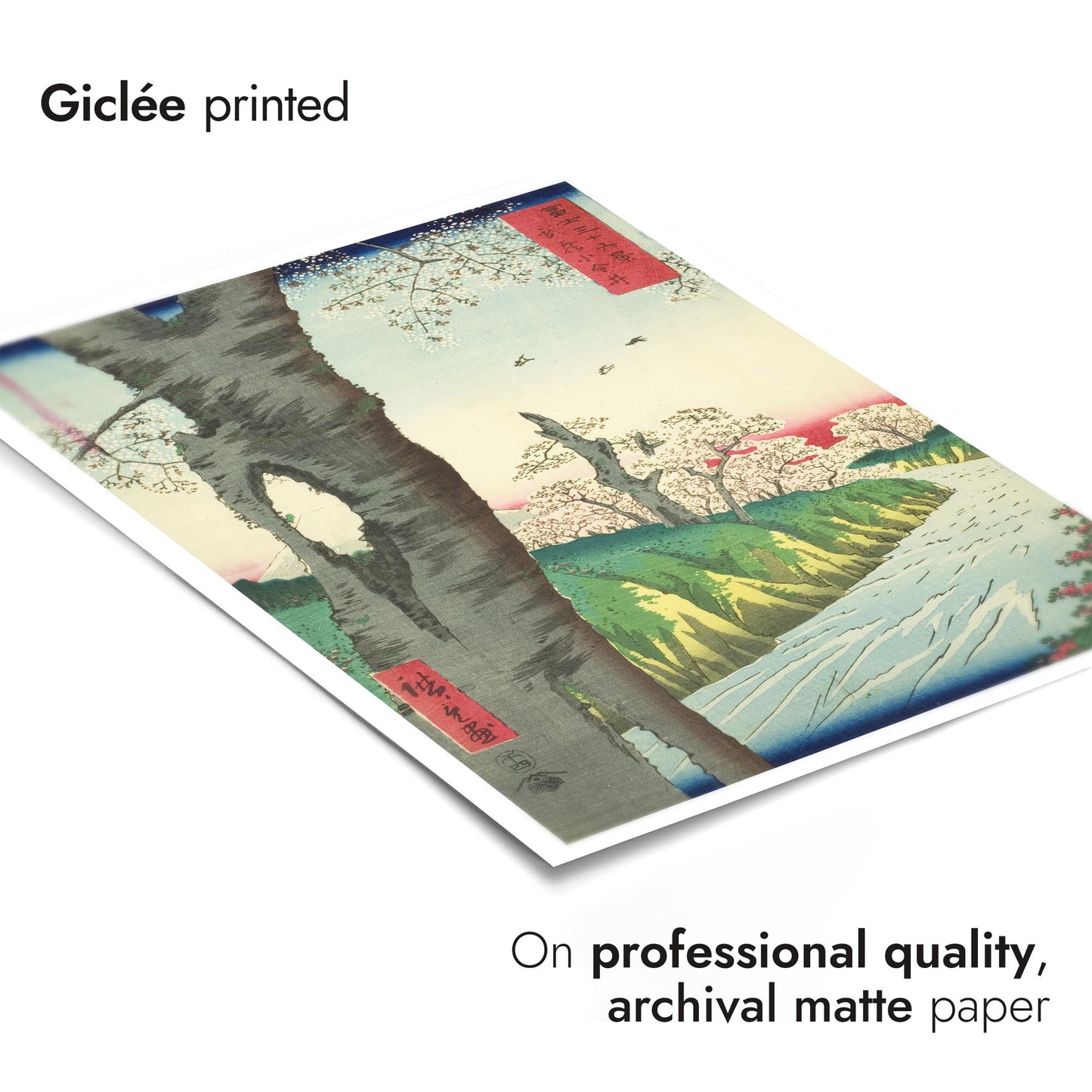 Koganei in Musashi Province