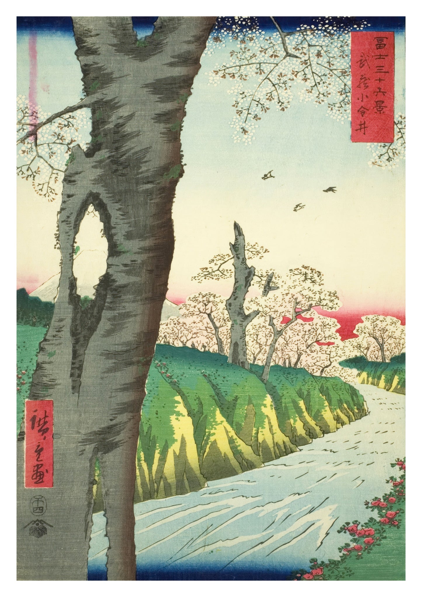 Koganei in Musashi Province