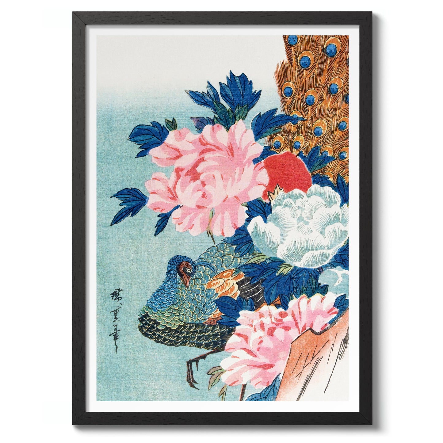 Peacock & Peonies