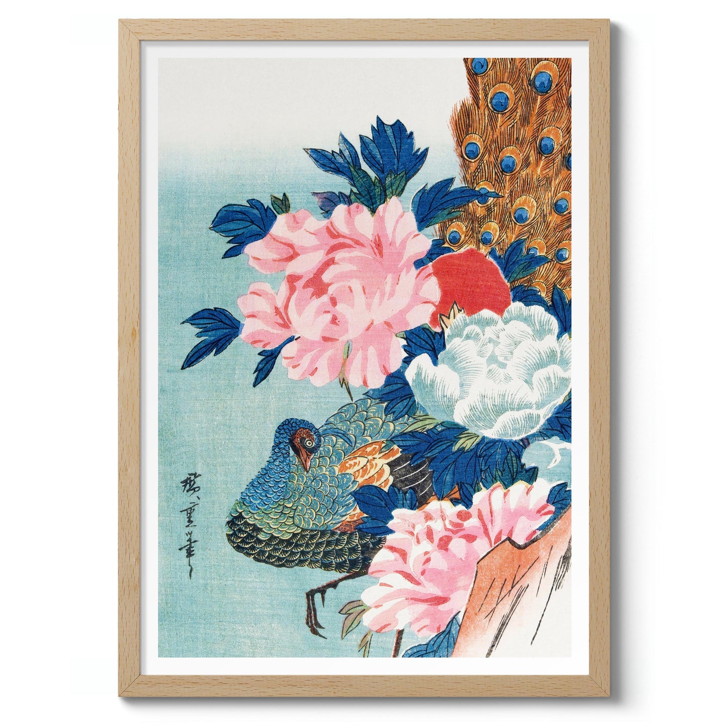 Peacock & Peonies