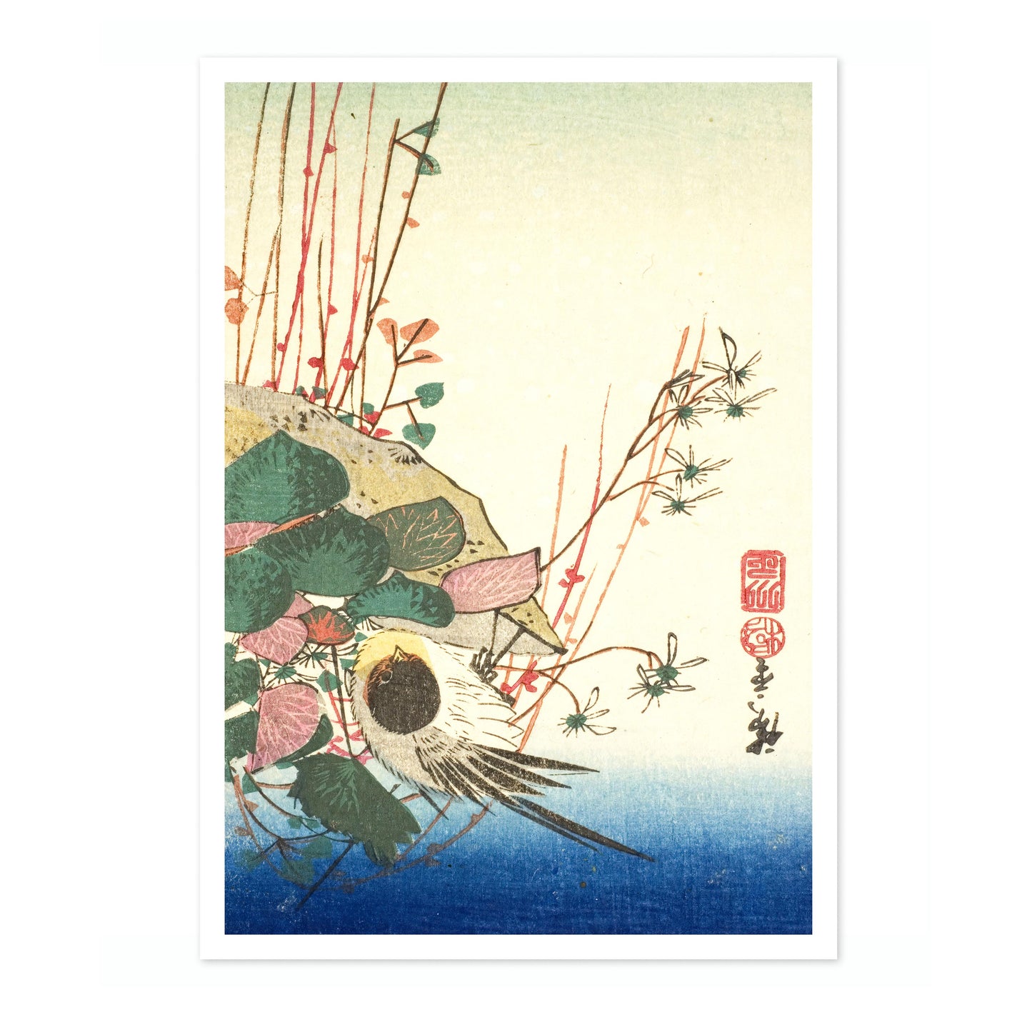 Sparv på en hängande växt