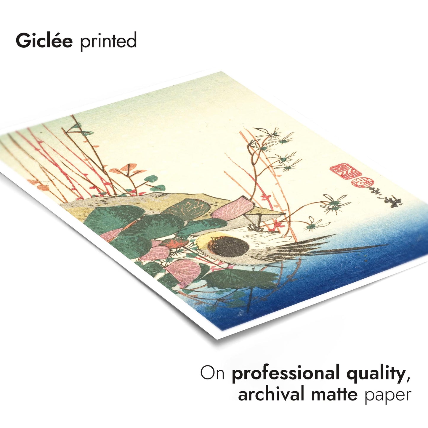 Sparv på en hängande växt