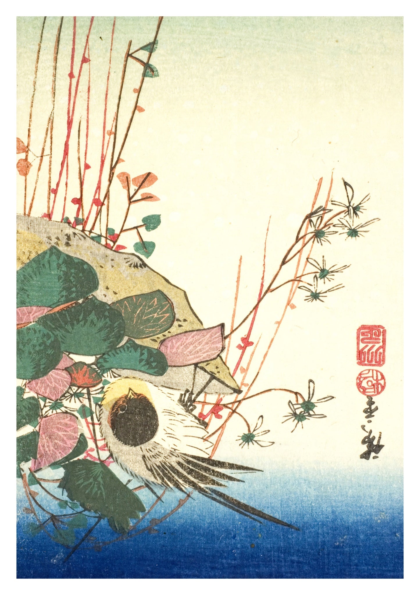 Sparv på en hängande växt