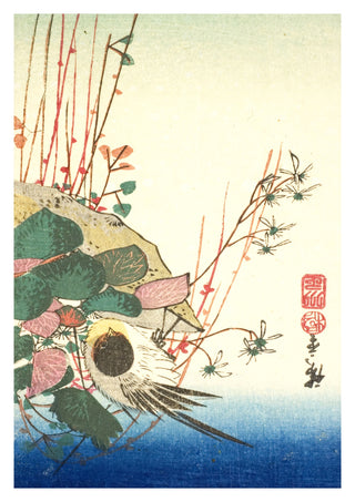 Sparv på en hängande växt print