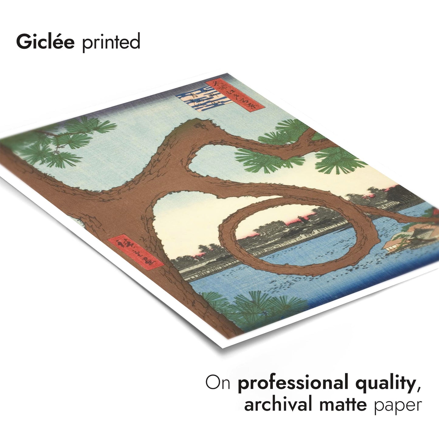 The Moon Pine on the Temple Grounds at Ueno