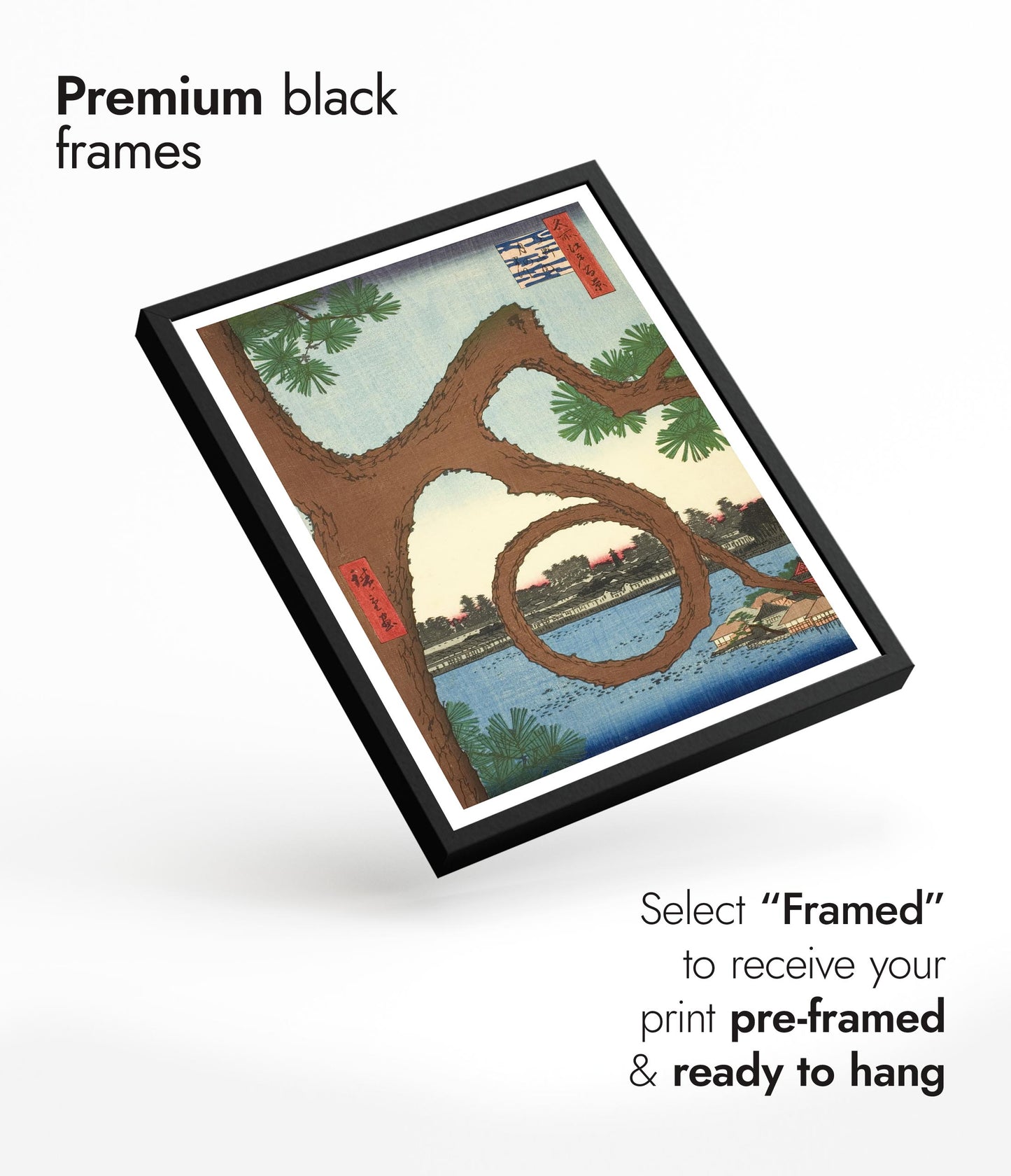 The Moon Pine on the Temple Grounds at Ueno