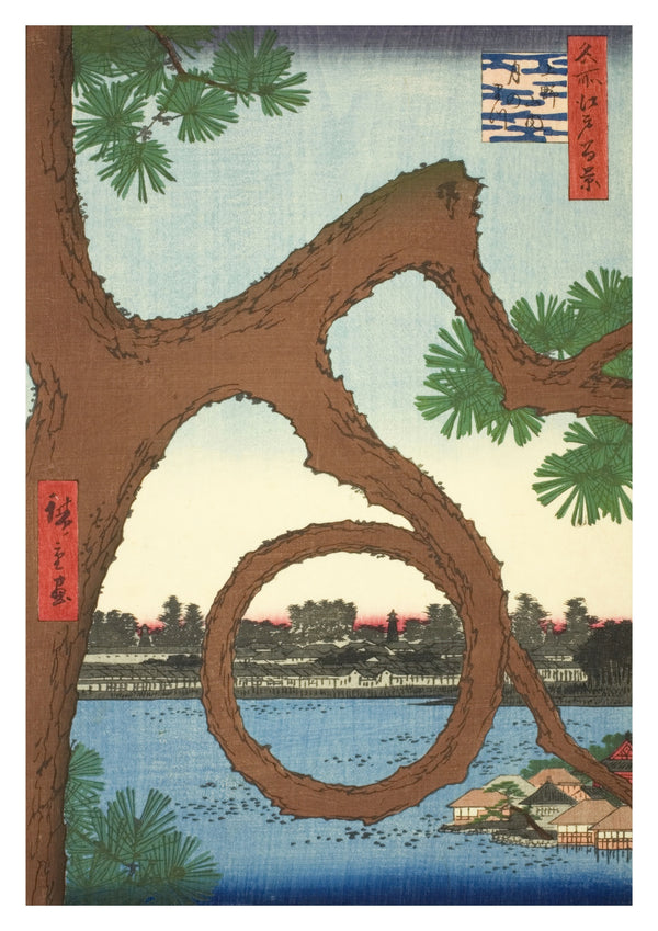 The Moon Pine on the Temple Grounds at Ueno