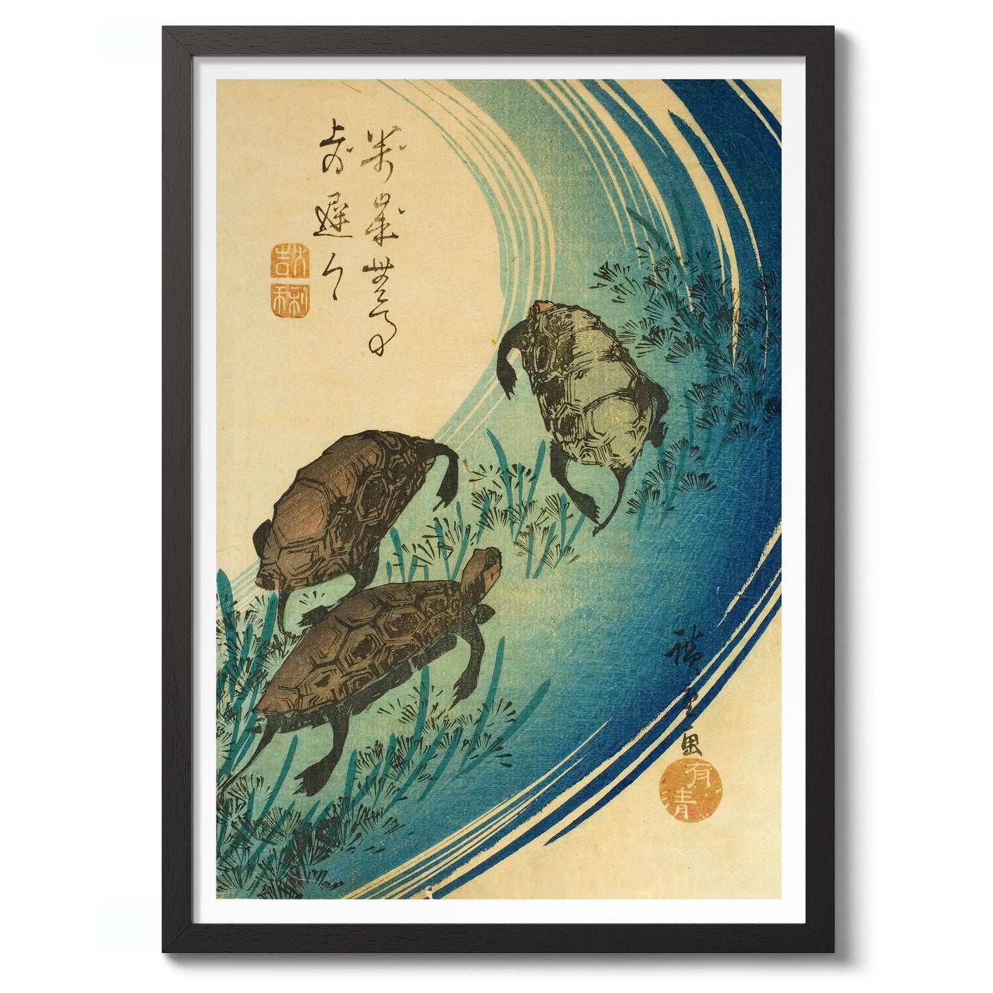 Turtles Swimming in a Stream