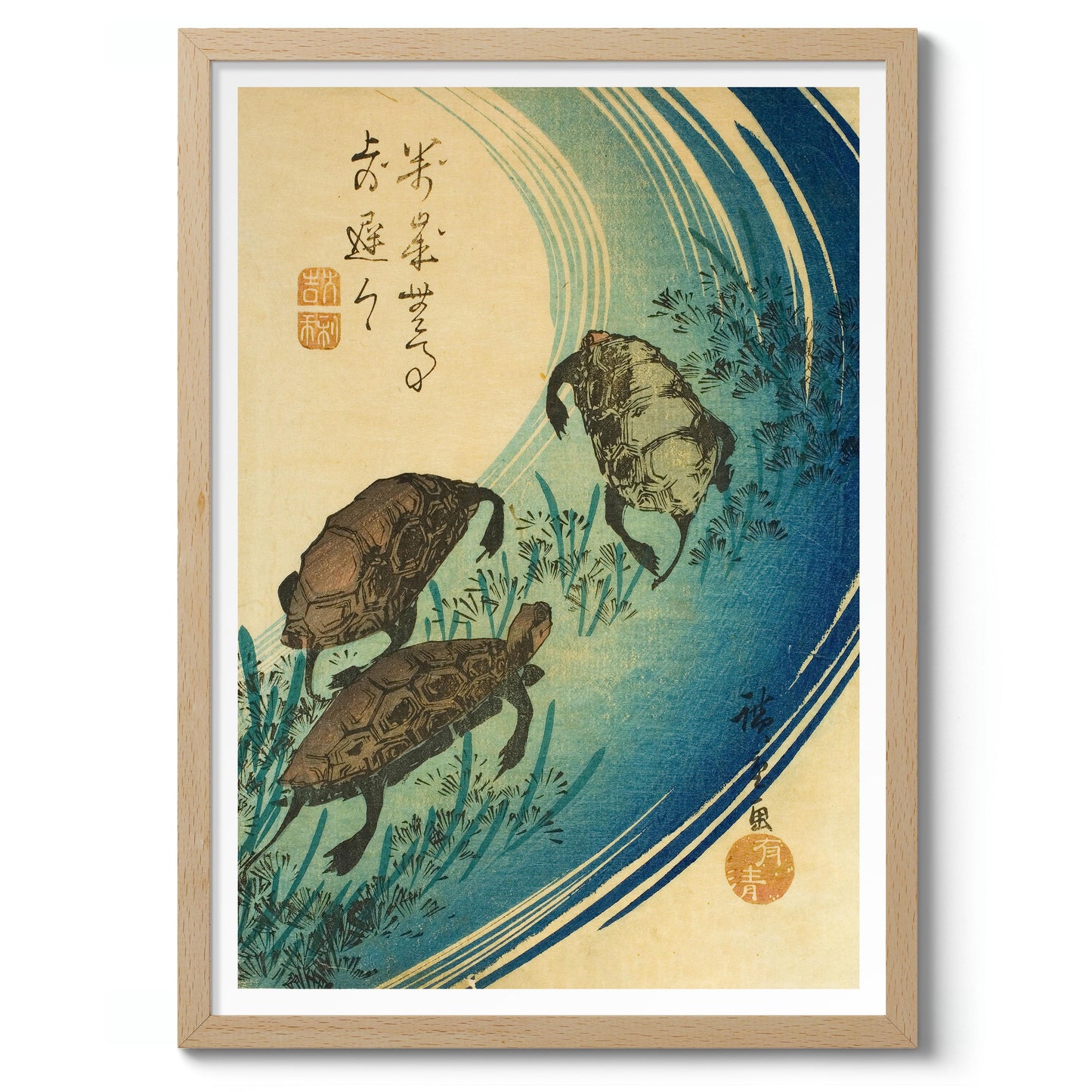 Turtles Swimming in a Stream